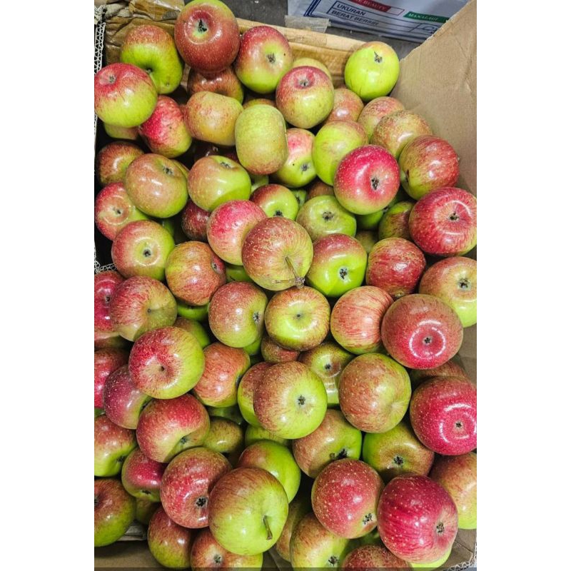 

APEL ANA CAKEP FRESH HARGA 1KG