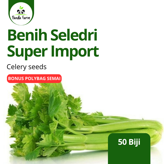 isi 50 biji benih bibit Seledri Super Import Asia