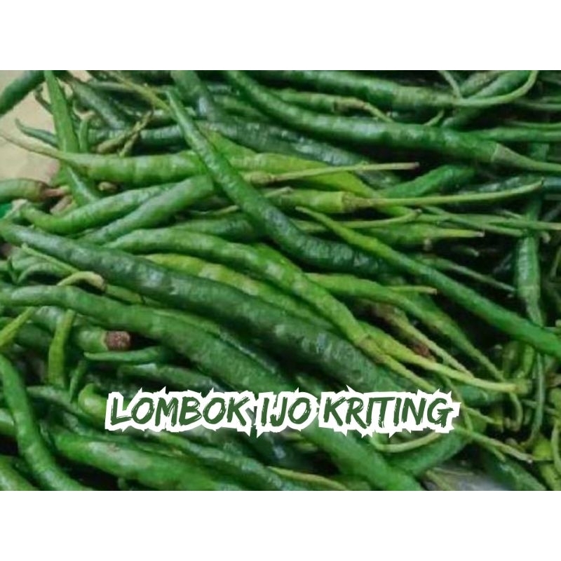 

Lombok Ijo Kriting Segar