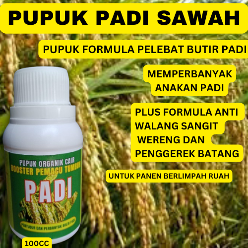 Pupuk Pelebat Padi Sawah/Pupuk Booters Butir Padi Sawah/Pupuk Organik Padi Sawah/ Pupuk Organik cair