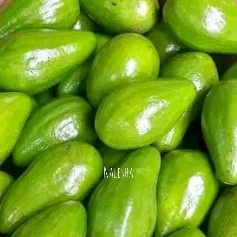 

Alpukat mentega lokal fresh 1kg