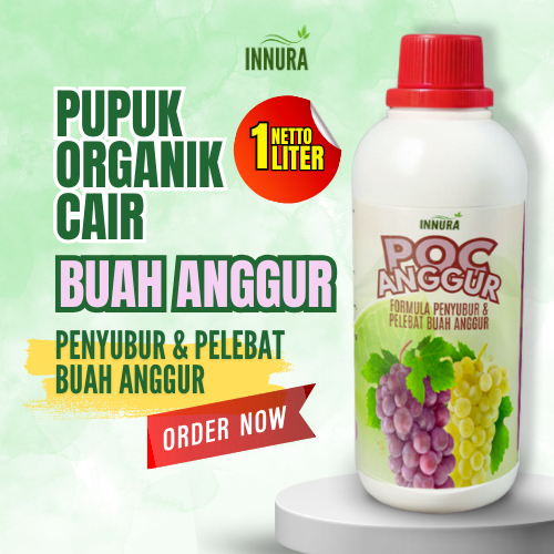 Pupuk Organik Cair Tanaman Buah Anggur Pupuk Penyubur Booster Pelebat Buah Anggur Agar Cepat Berbuah