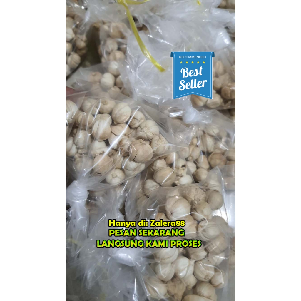 

kapulaga | kapol | ratu rempah Eceran Murah BELI 4 DAPAT 5