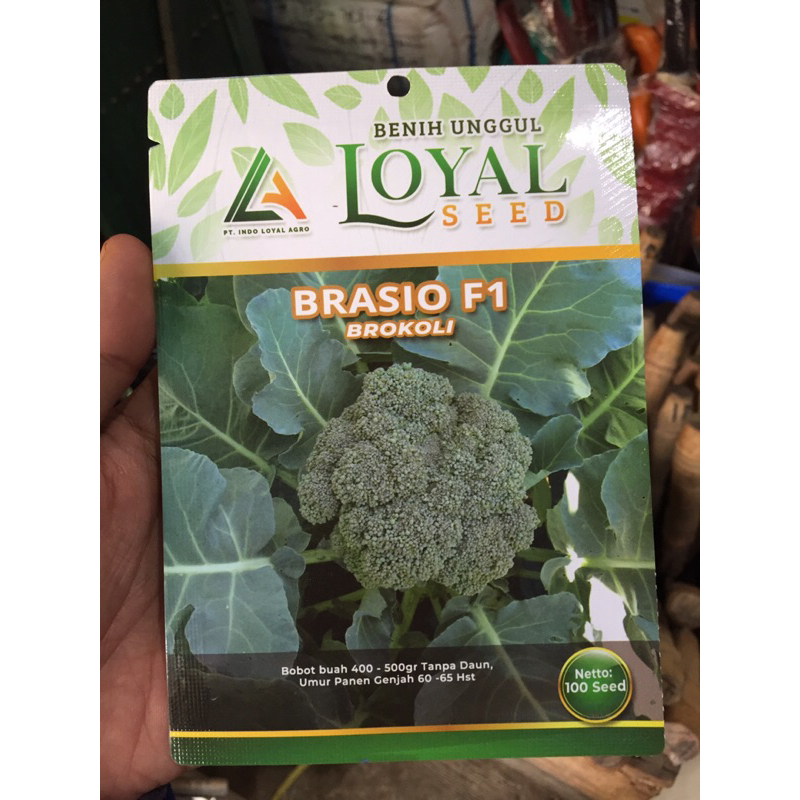 

Benih Brokoli Unggul isi 100 Biji