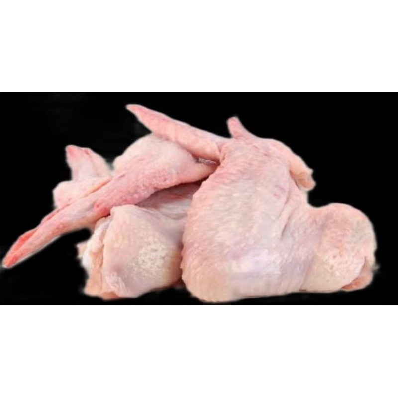 

sayap ayam