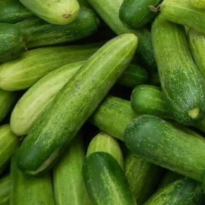 

Sayur Ketimun 500 gr