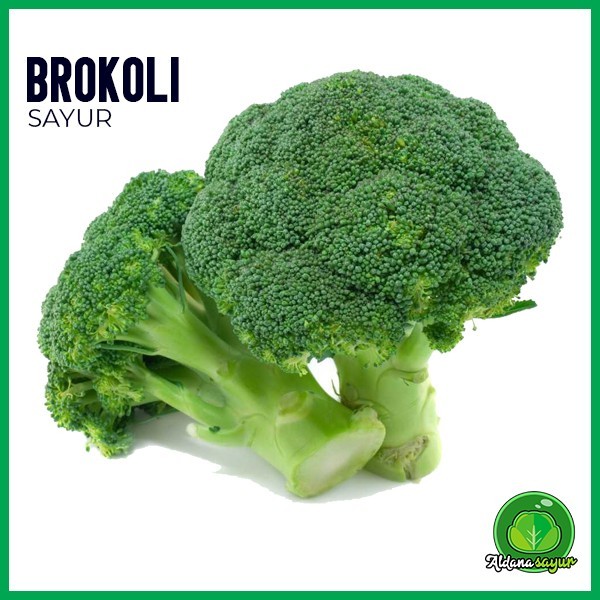 

Brokoli aldana sayur garut 1kg
