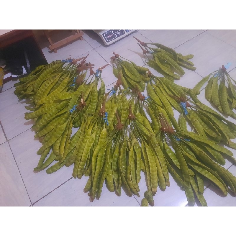 

pete pendek perpapan