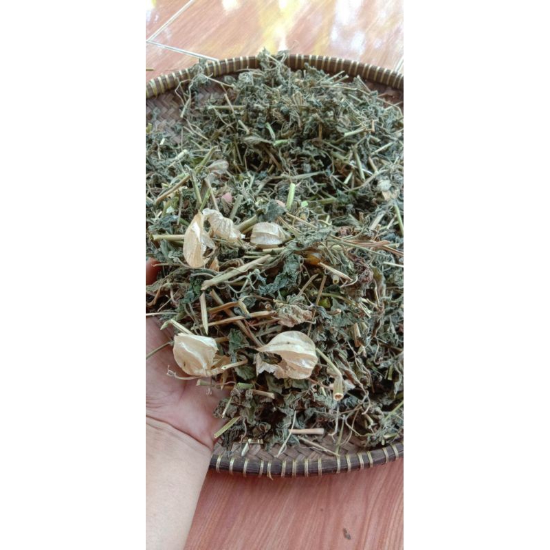 

daun ciplukan kering 300grm