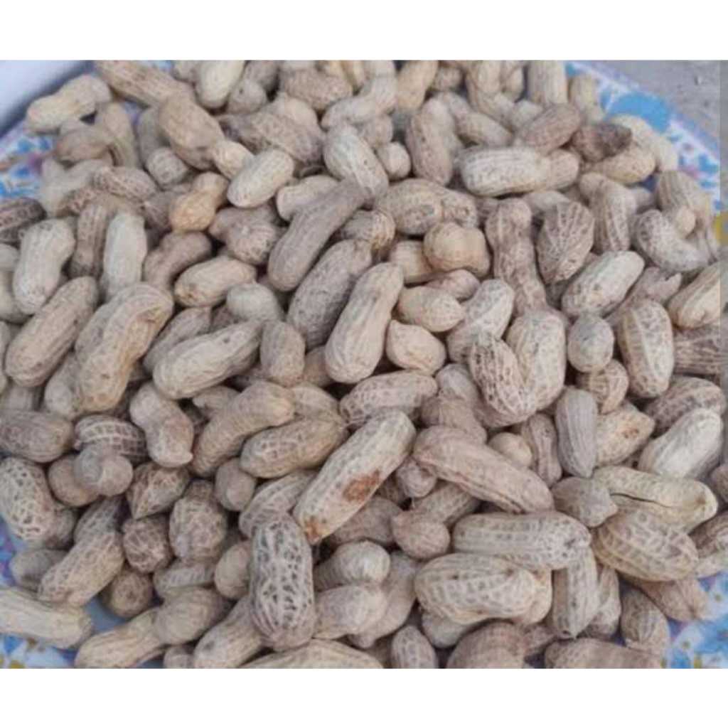 

kacang kulit sangrai 200gr