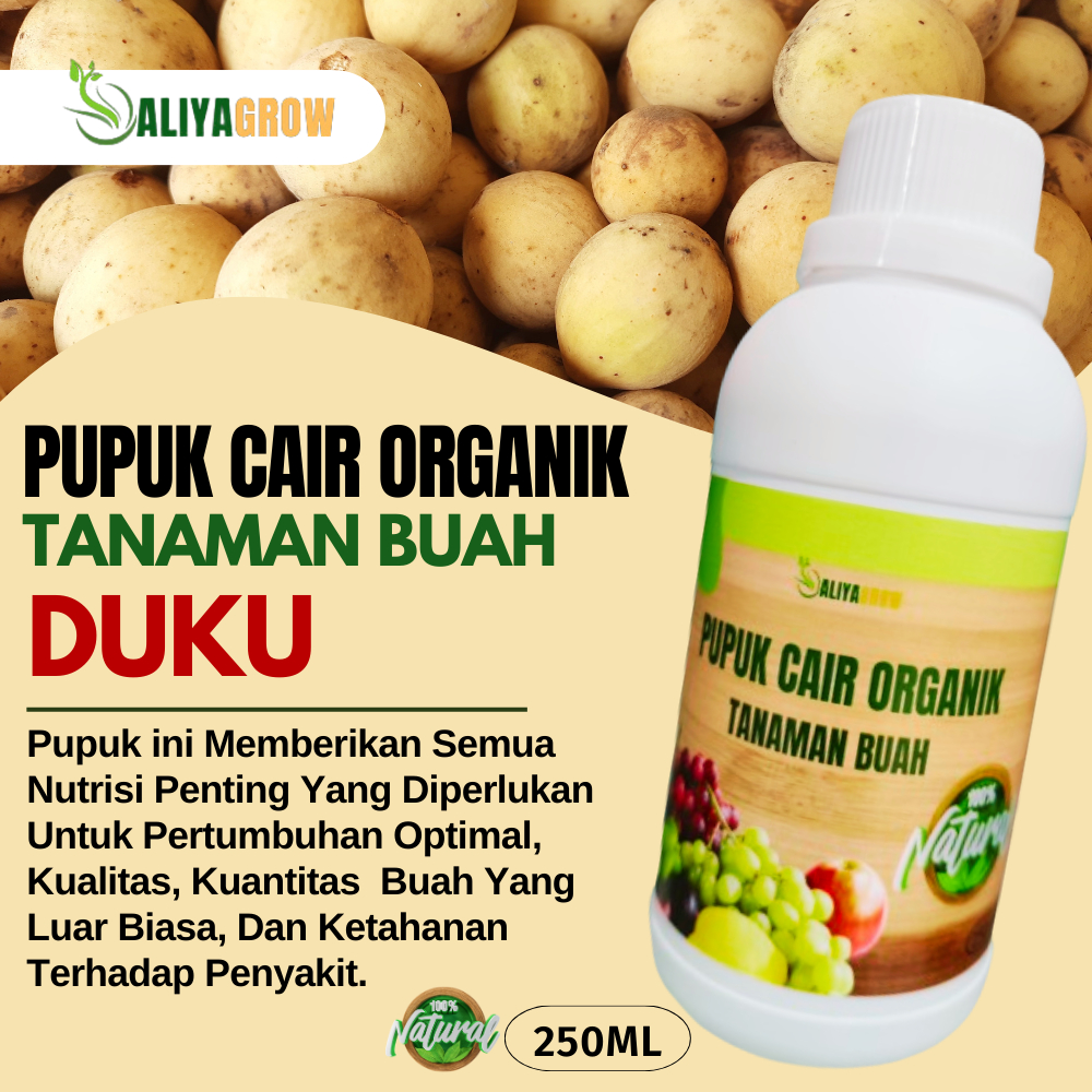 pupuk buah duku/pupuk pelebat buah duku/pupuk booster buah duku/pupuk khusus buah/pupuk duku