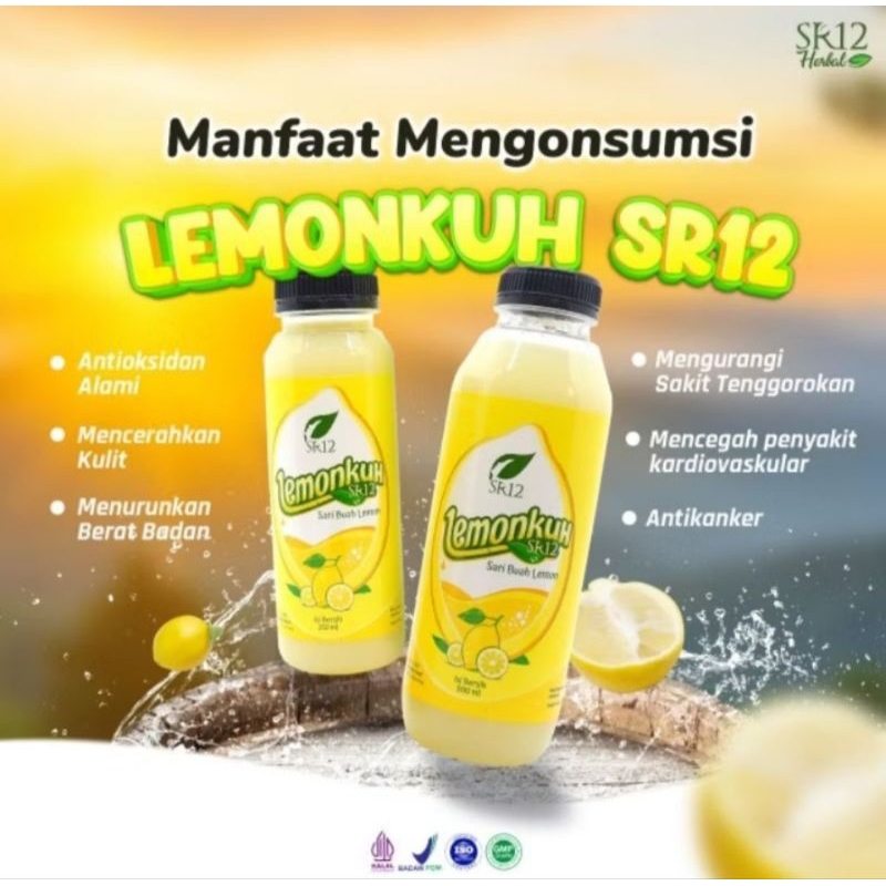 

LemonKuh SR 12