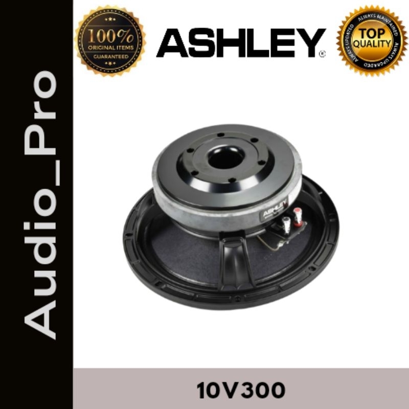 Speaker Ashley 10V300