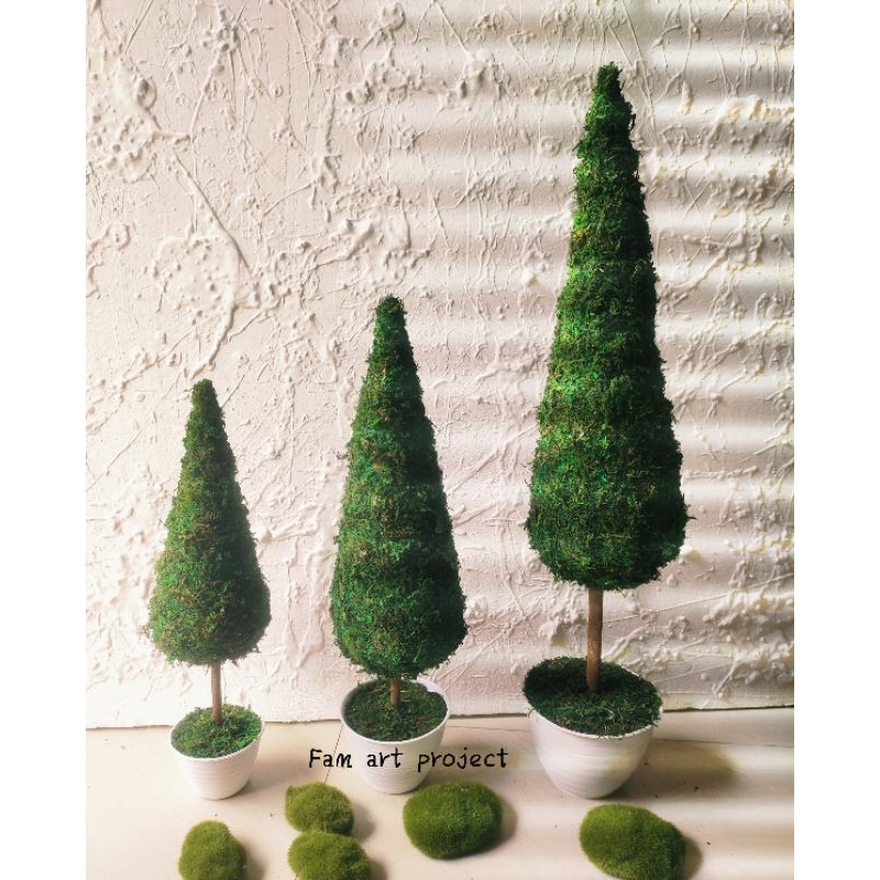 pohon Cemara natal, topiary pohon Cemara , Cemara hiasan natal. pohon Cemara lumut ukuran S