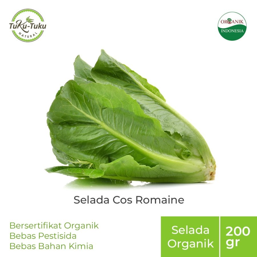 

SELADA COS ROMAINE ORGANIK BSP FARM 200GR