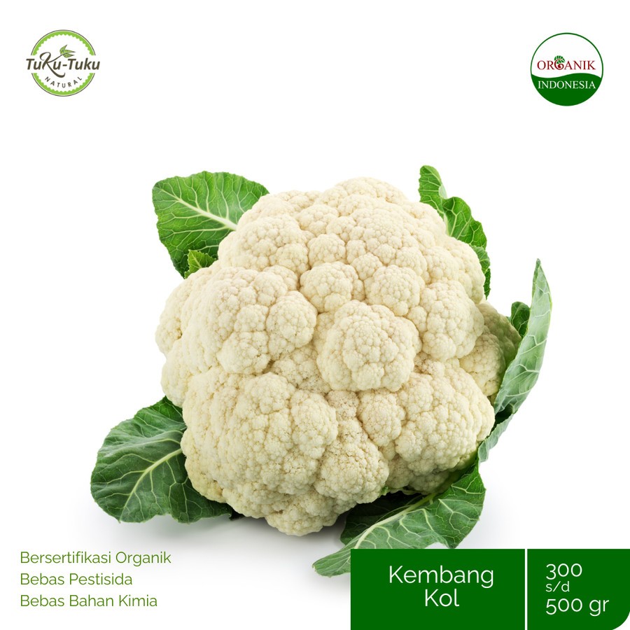 

KEMBANG KOL ORGANIK BSP Farm 300-500GR