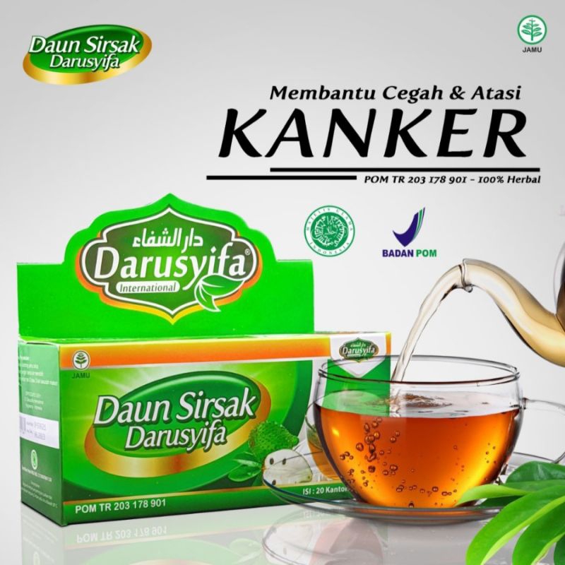 

TEH CELUP HERBAL UNTUK KANKER PAUYUDARA, OBAT PARU2/ASMA