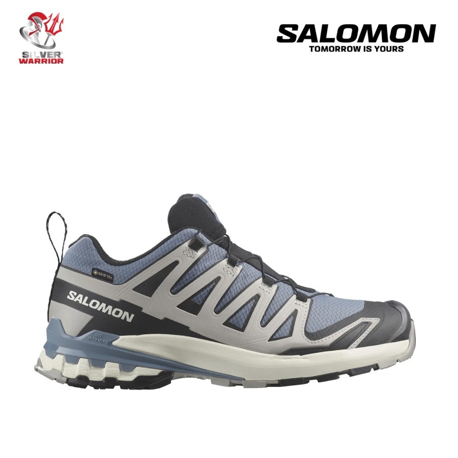 SALOMON XA PRO 3D V9 GTX FLINT STONE