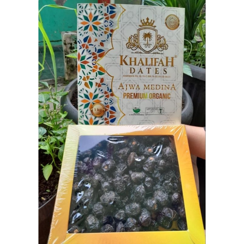

Ajwa Organik khalifah 1kg