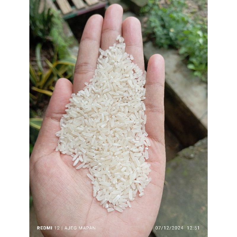 

Beras super jenis ciherang atau serang