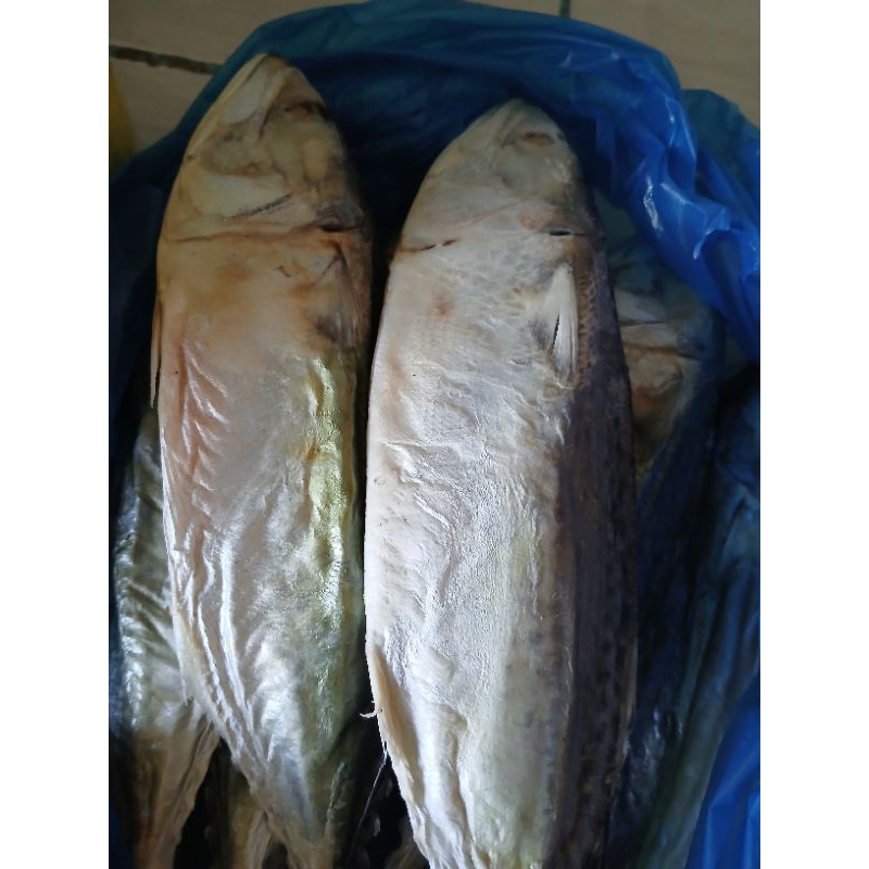 

ikan asin gembung peda