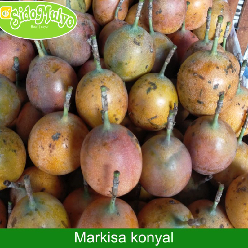 

Buah Markisa konyal manis fresh 1 kg | ud sidomulyo fresh