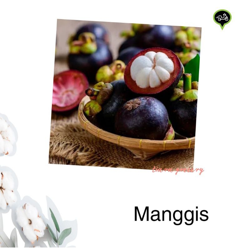 

Manggis buah