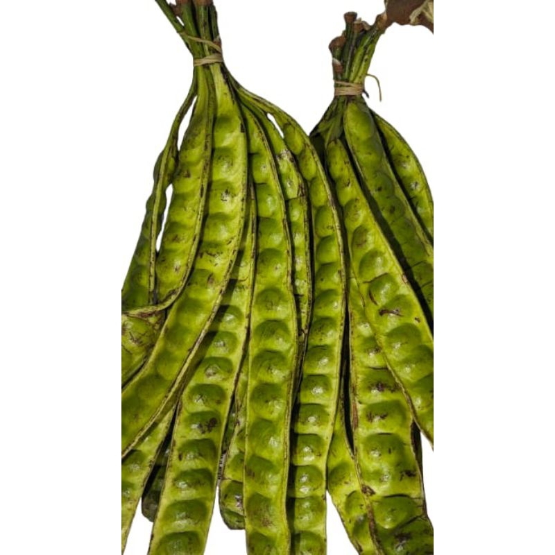 

pete fresh mantap untuk lalapan, campuran masakan