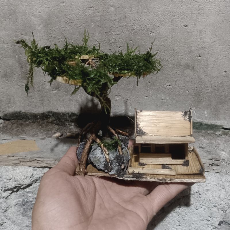 Bonsai mini Rumah  Bambu Hiasan Aquascape - Bonsai mini Rumah Bambu Hiasan Akuarium