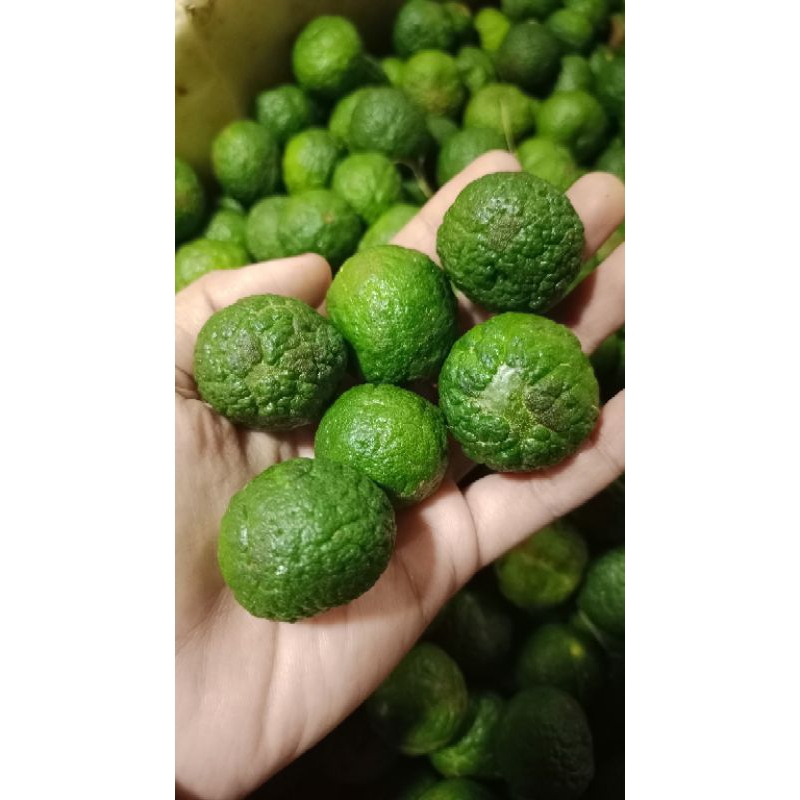 

Jeruk Limau Purut/Sambel