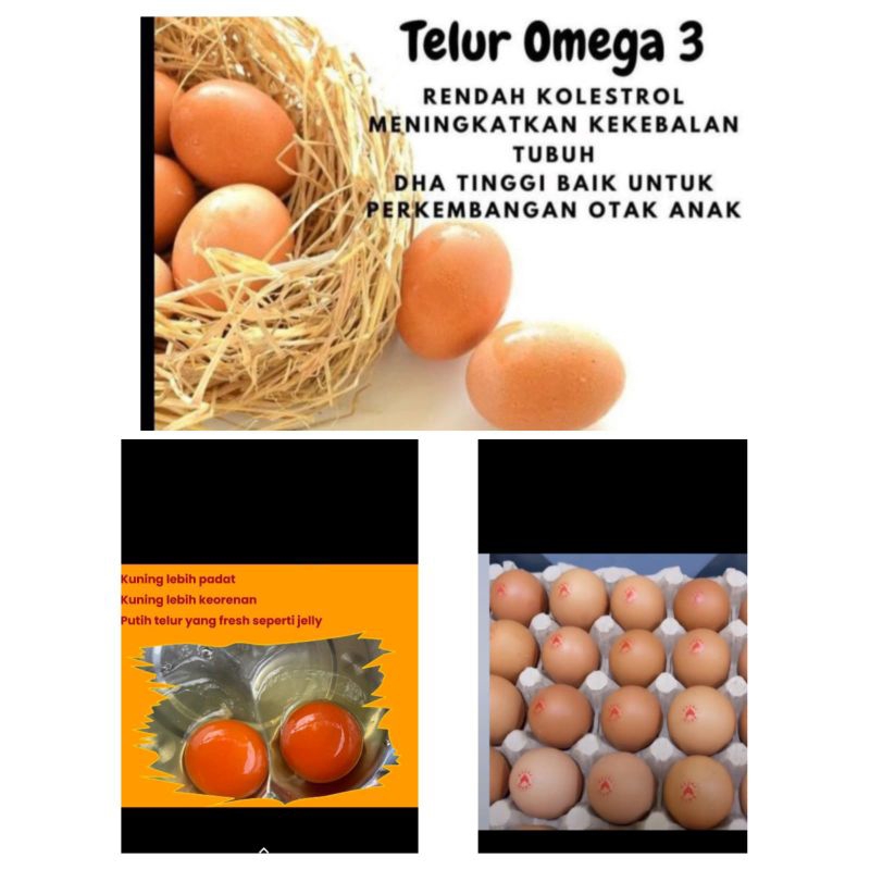

Telur Omega 3 Fresh