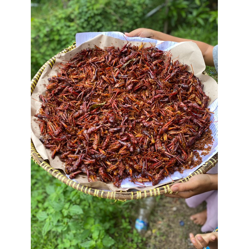 

walang / belalang goreng mantul