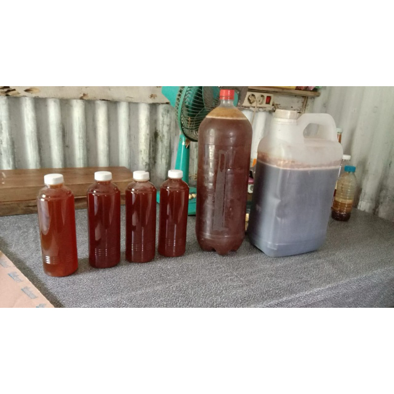 

Madu Tawon ASLI tanpa pemanis