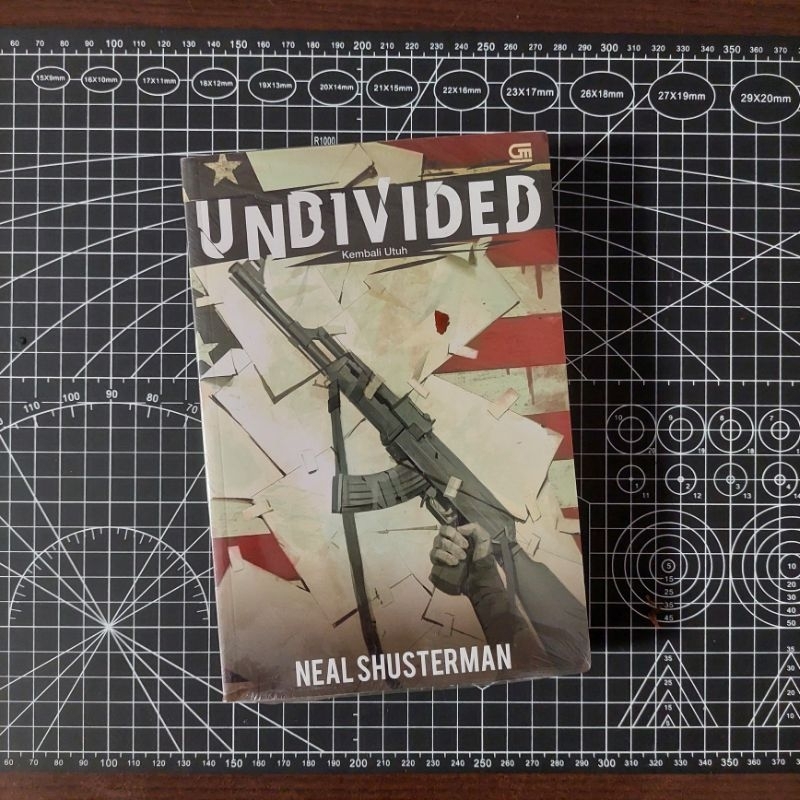 (Original, Segel) Novel Unwind Dystology 4: Undivided - Neal Shusterman