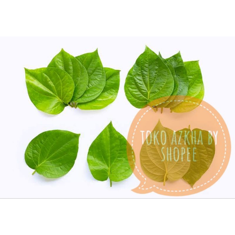

daun sirih (30 lembar)