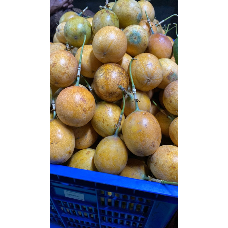 

MARKISA MANIS SEGAR DAN FRESH