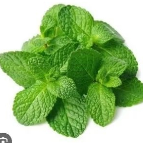 

MINT LEAF EXTRACT 20 ML