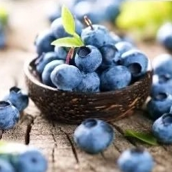 

BLUEBERRY EXTRACT 20 ML