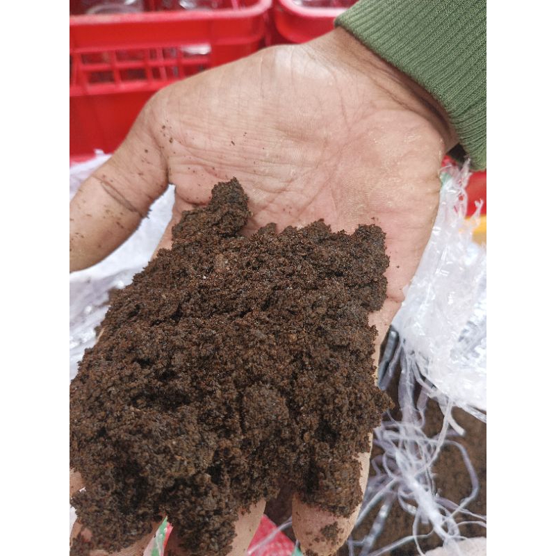 Guano/kotoran kelelawar murni 1 kg