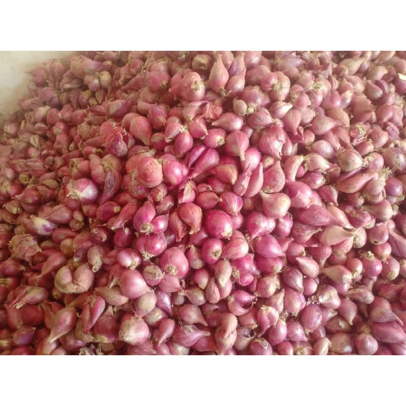 

Bamer Brebes Asli 1kg sedang