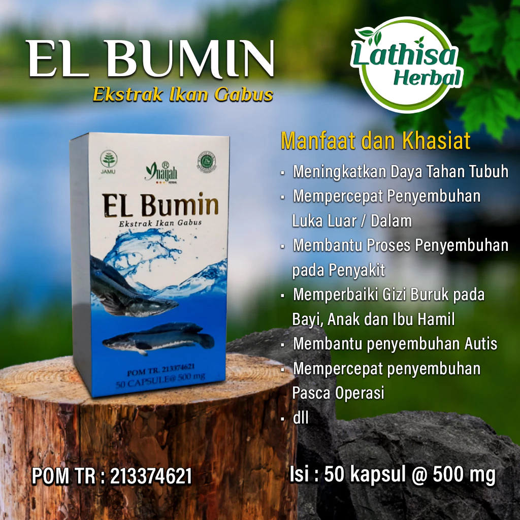 ORIGINAL KAPSUL ALBUMIN FIT PREMIUM 5X CEPAT SEMBUH PASCA OPERASI - EKSTRAK ALBUMIN