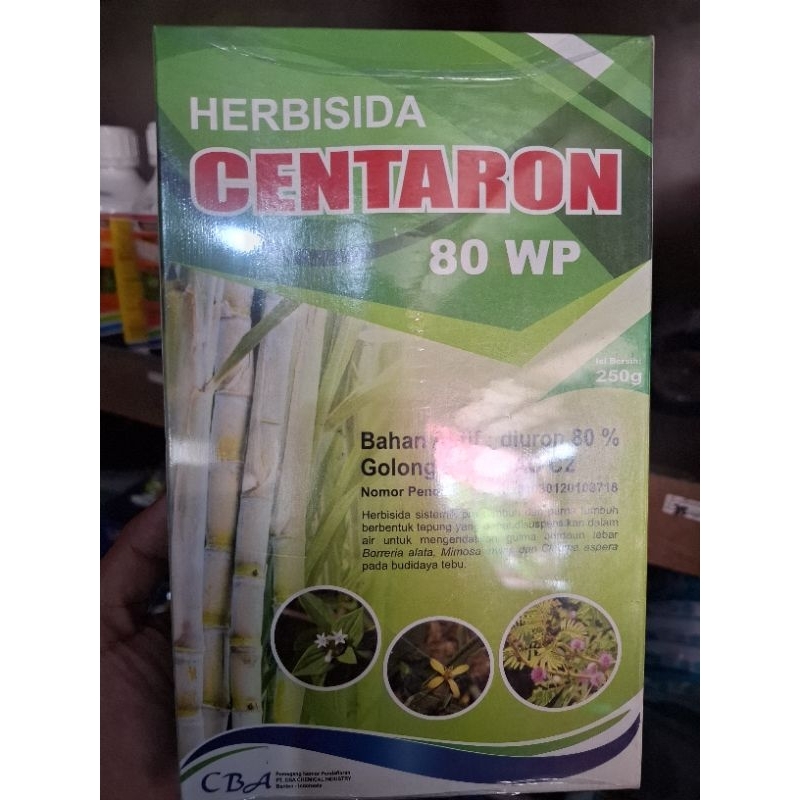 Centaron 80WP 250gr Pengendali Gulma 100% ORI