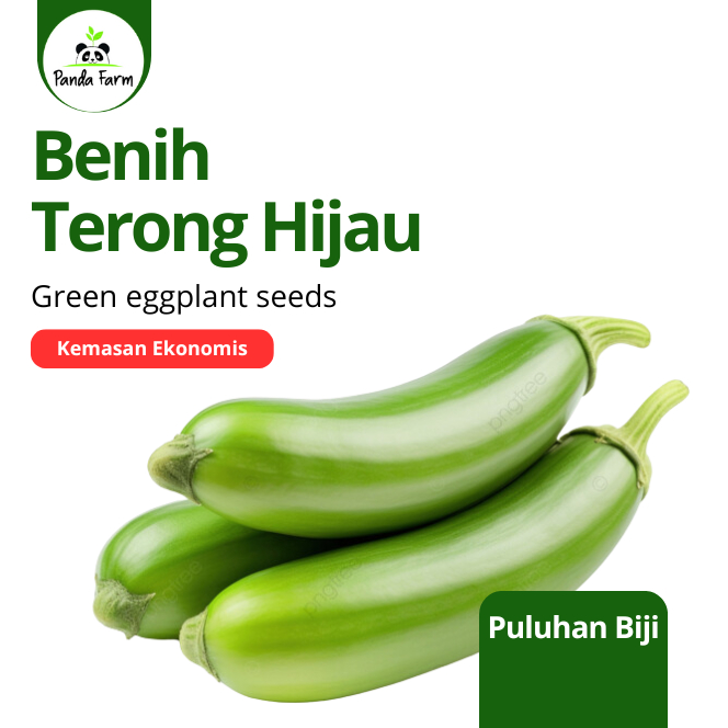 Benih Biji Bibit Lokal Unggu Terong Hijau