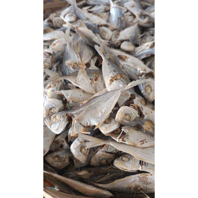 

Ikan Asin Kering, ikan selar medan