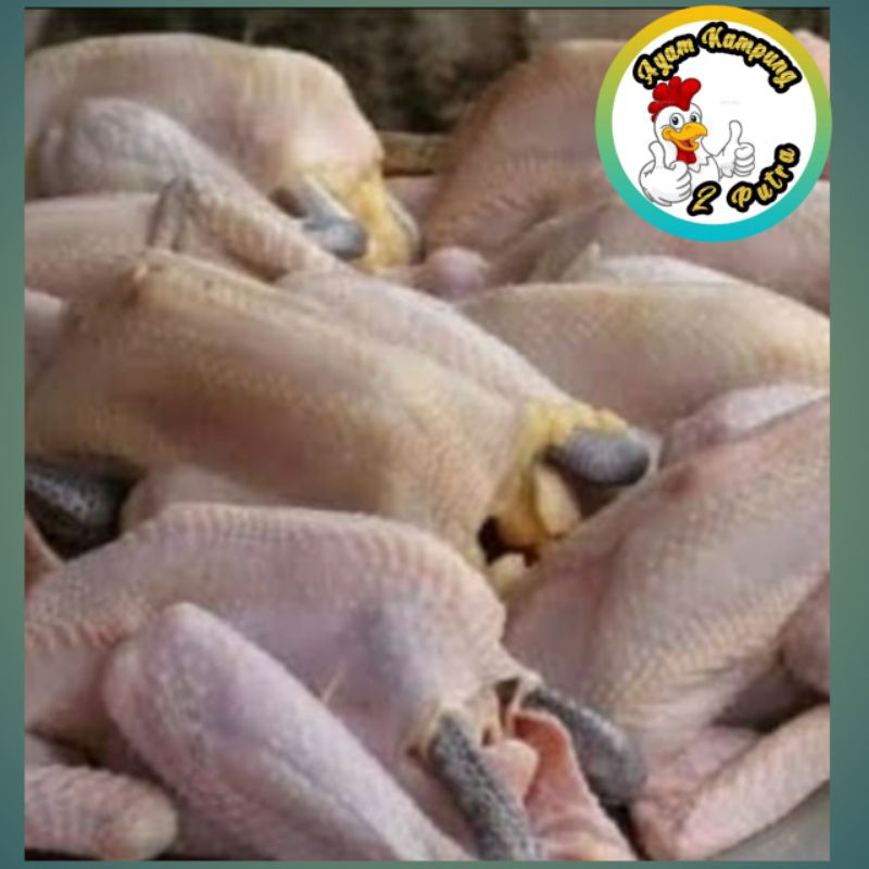 

Ayam kampung putra 1000gram