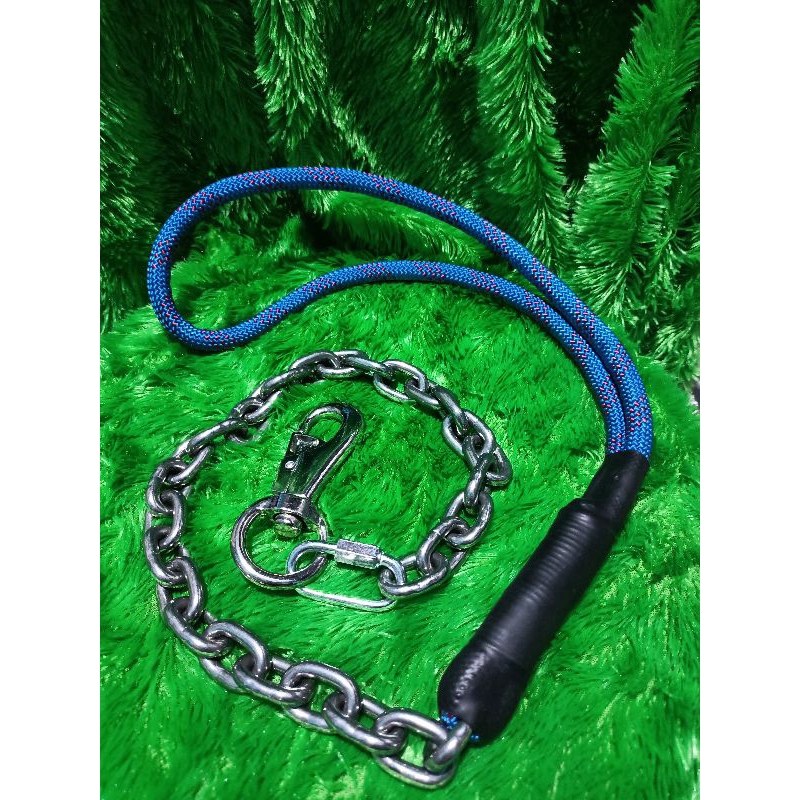 tali anjing besar/anjing Pitbull