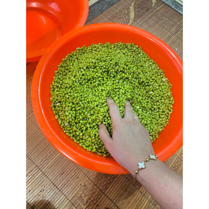

kacang ijo 1kg