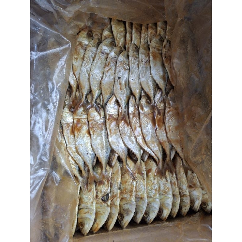 

ikan asin peda minyak/kbbm