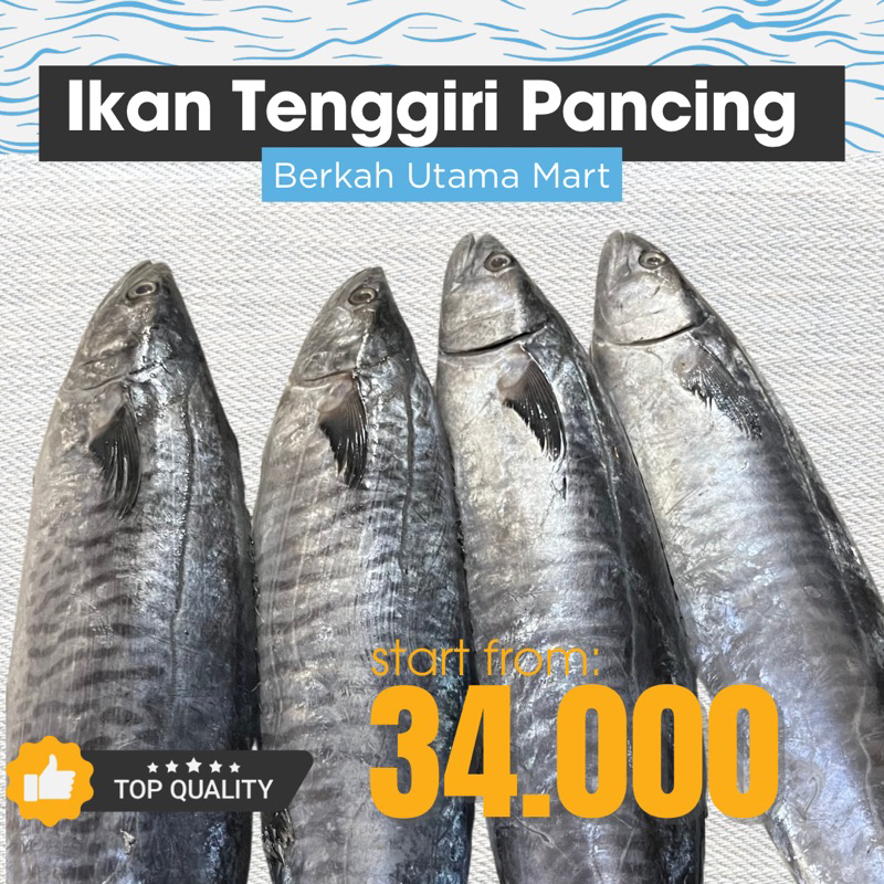

Ikan Tenggiri Pancing Tenggiri Super Tenggiri Grade I Fresh Fish KIRIM INSTAN BANDUNG