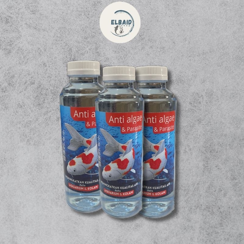 Anti Algae | Obat Anti Alga Jamur dan Parasit